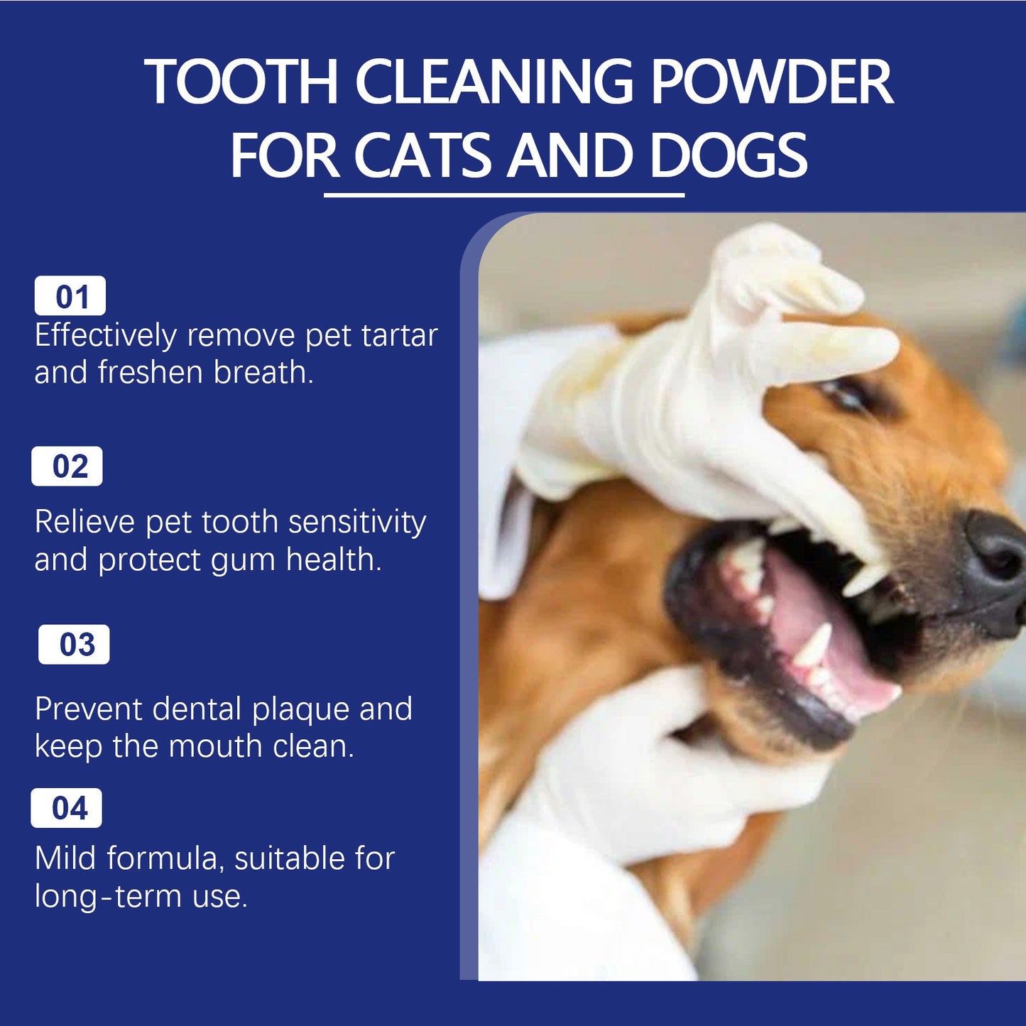 Dental Cleaning Powder