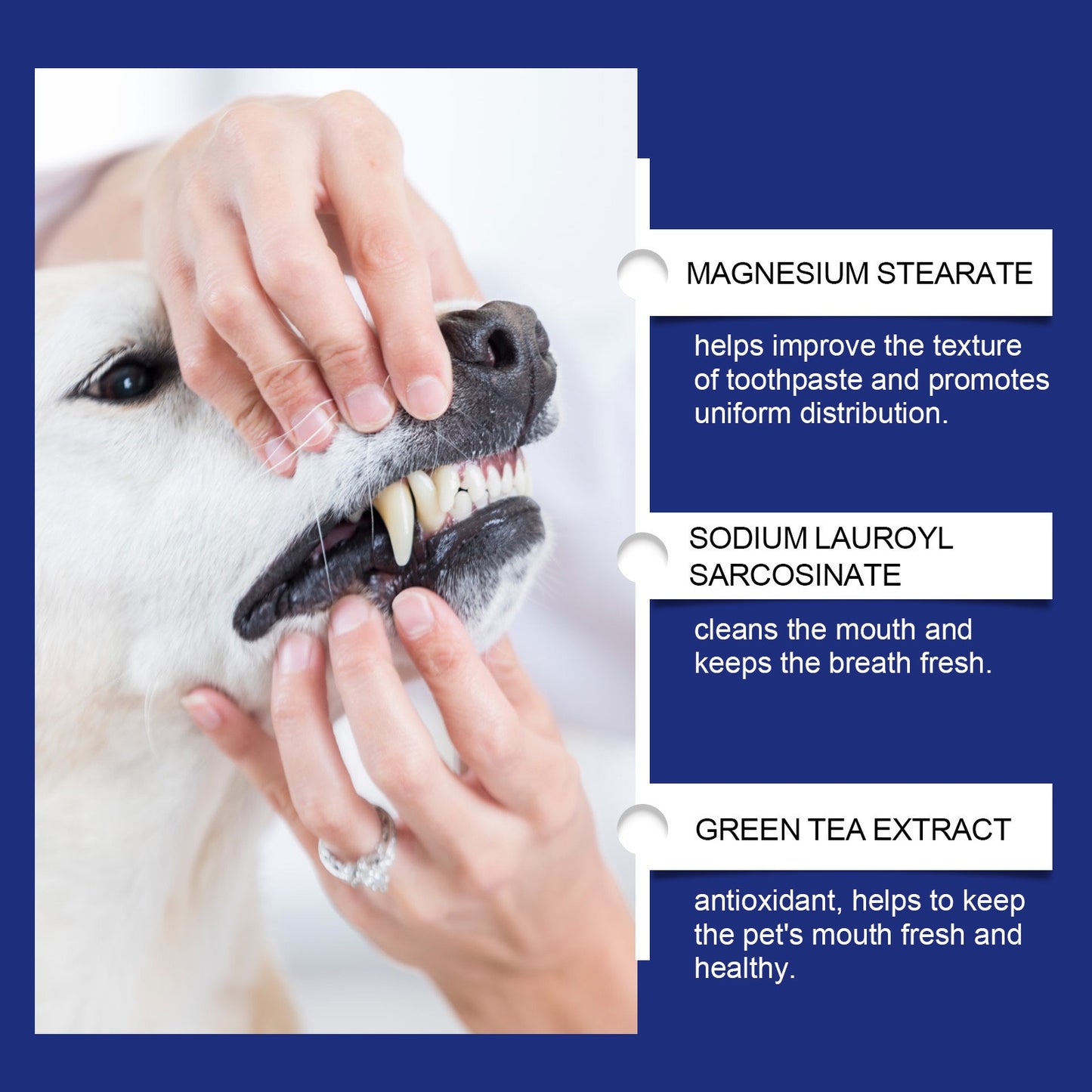 Dental Cleaning Powder