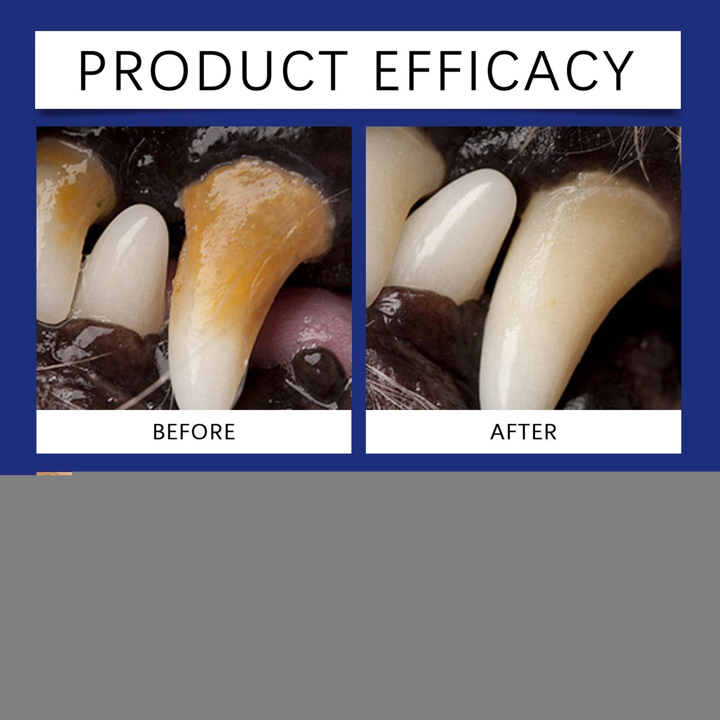 Dental Cleaning Powder
