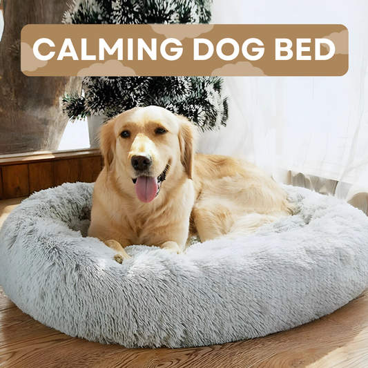 Calming Dog Bed