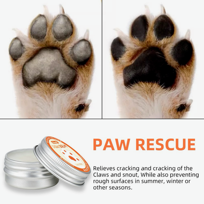 Paw Balm (Organic, All-Natural)