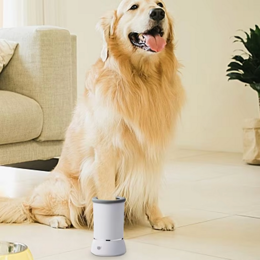 Automatic Paw Cleaner